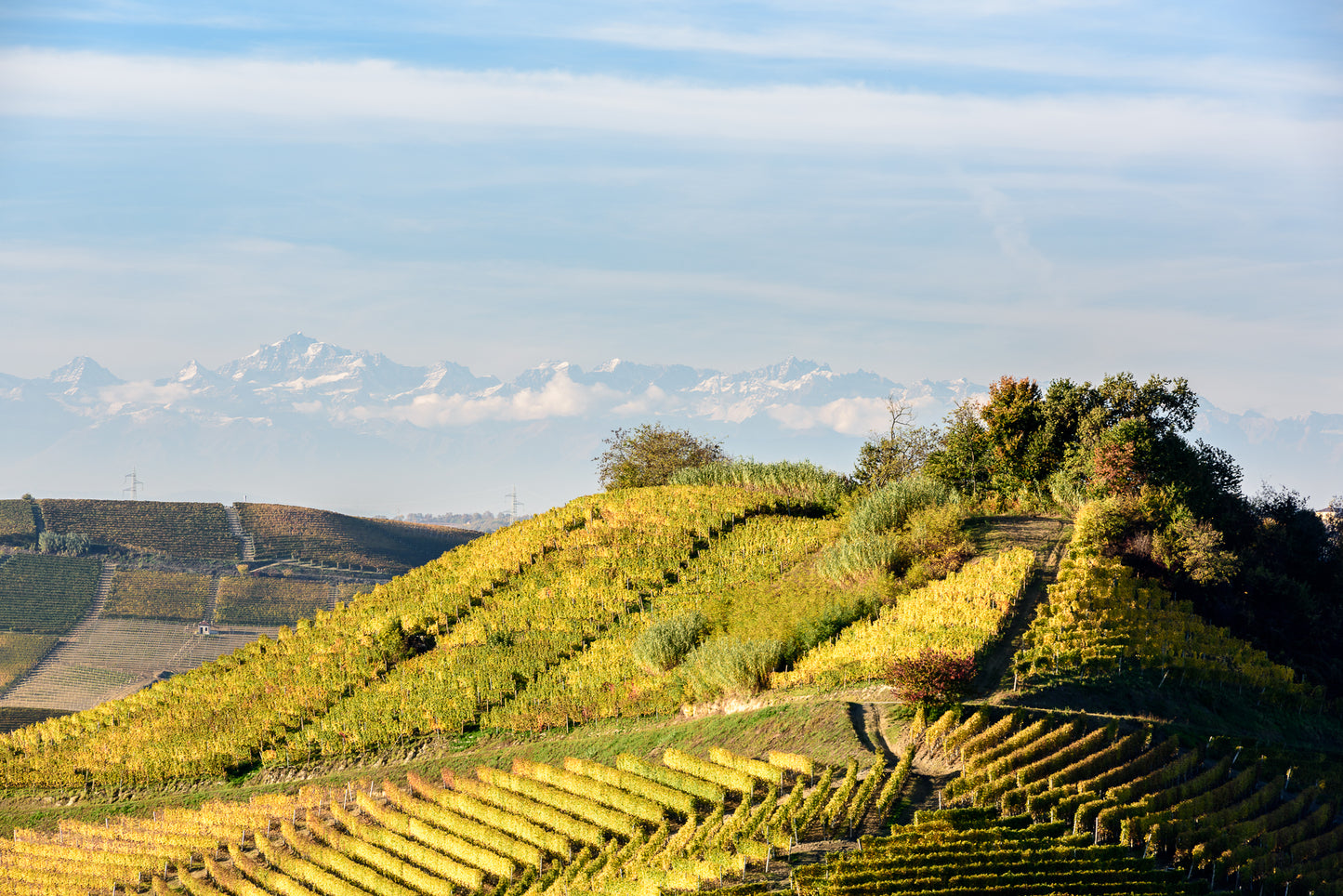 Vinpaket #10: Piemonte - Roero