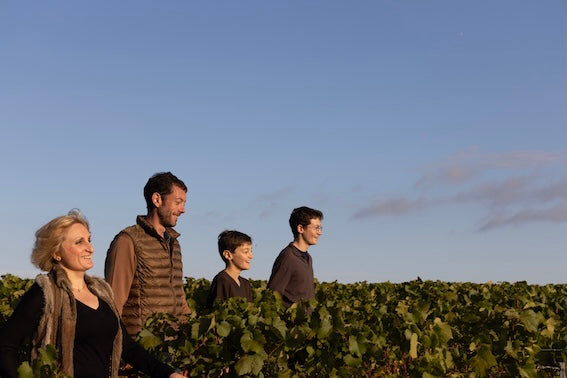 Vinpaket #5: Champagne Gounel-Lassalle