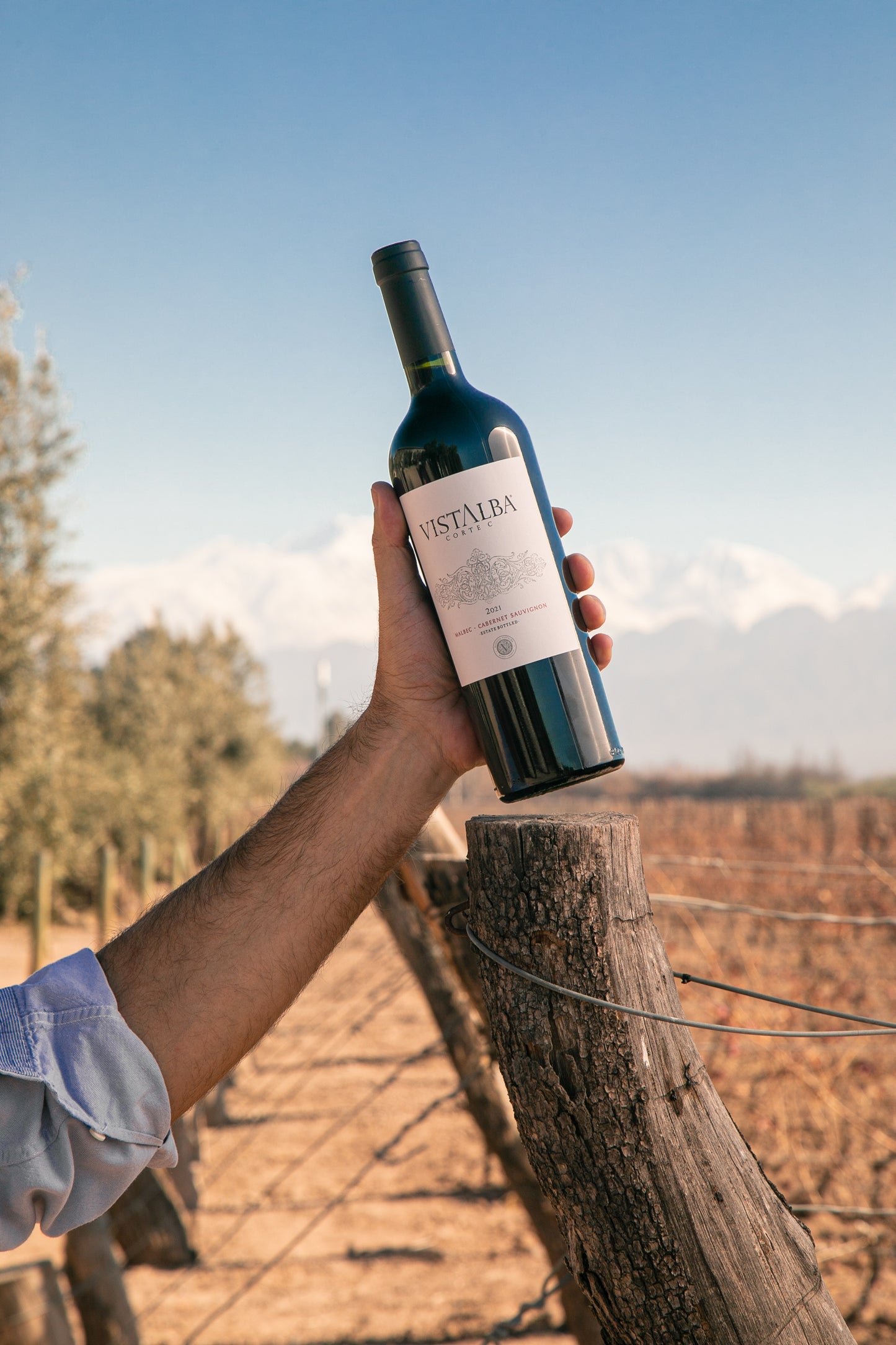 Vinpaket #9: Bodega Vistalba - Malbec