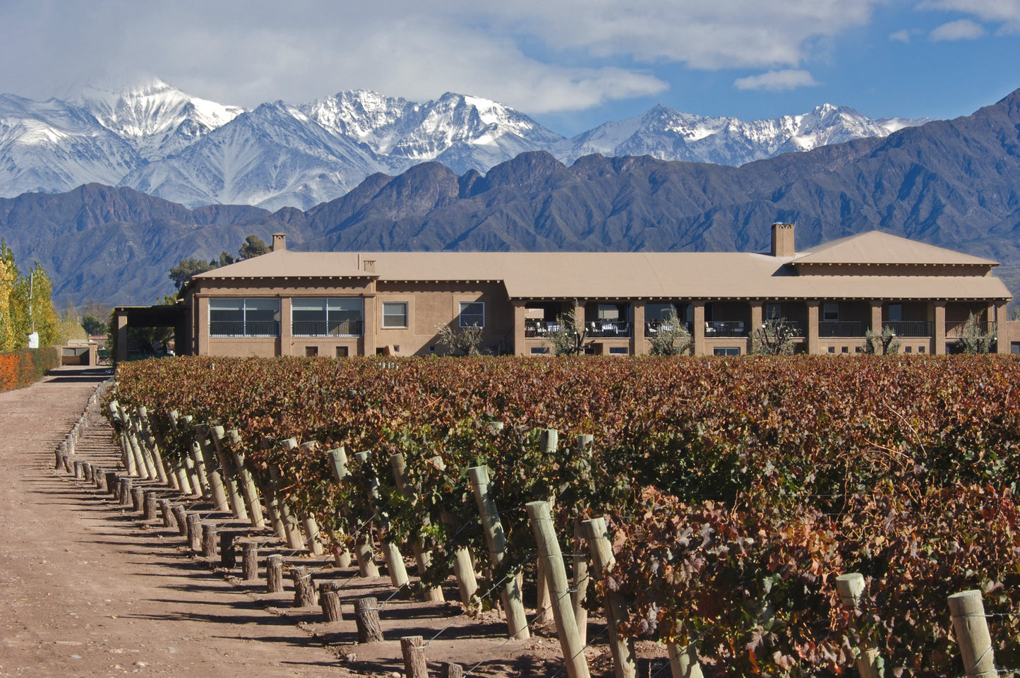 Vinpaket #9: Bodega Vistalba - Malbec