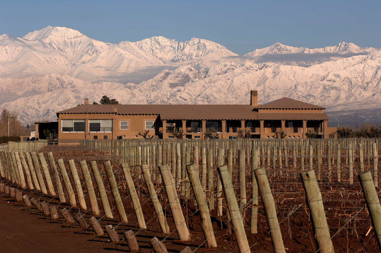 Vinpaket #9: Bodega Vistalba - Malbec