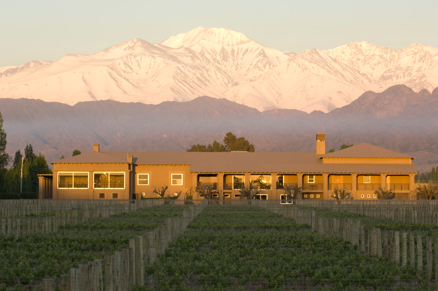 Vinpaket #9: Bodega Vistalba - Malbec