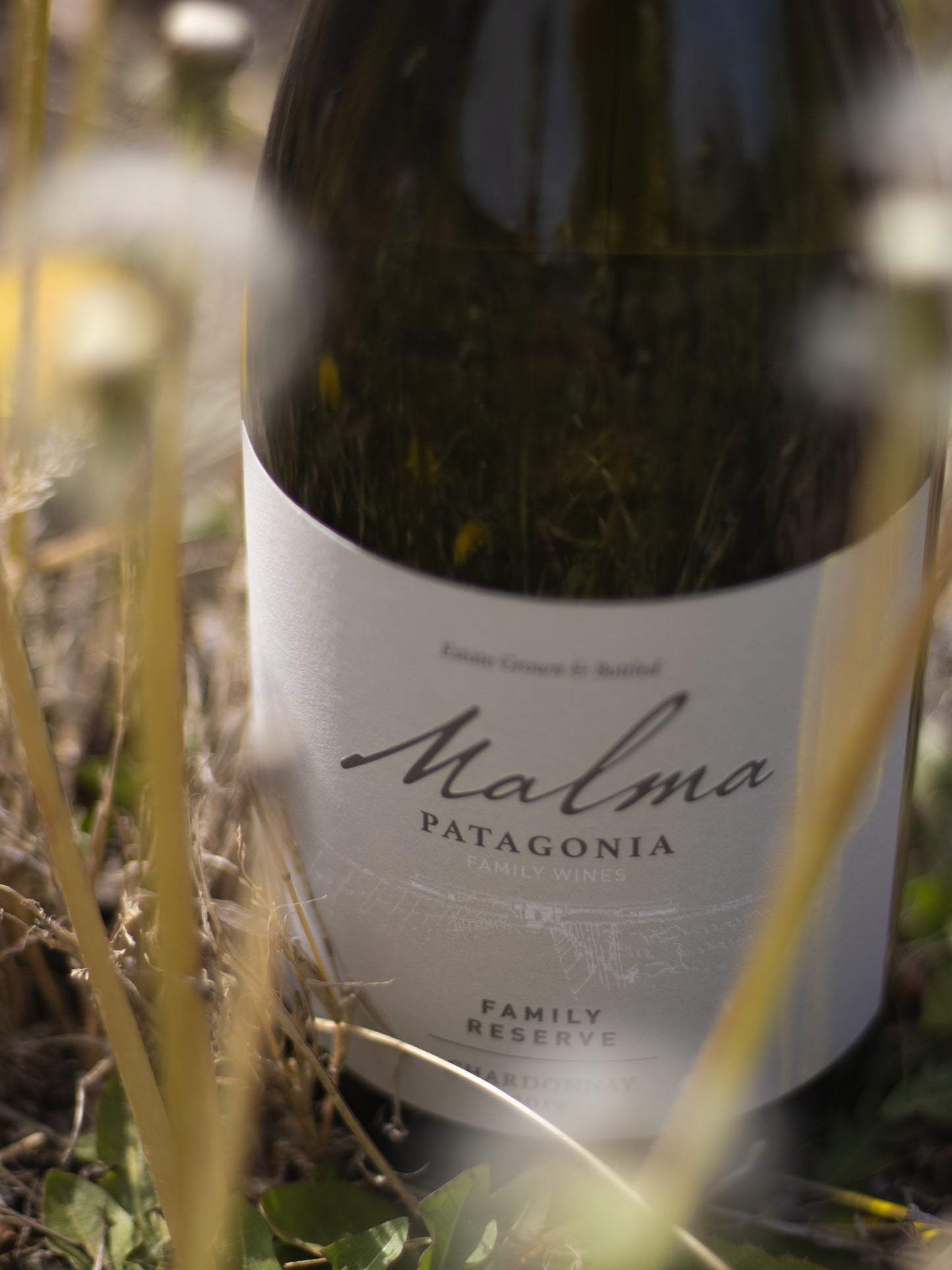 Vinpaket #7: Malma Patagonien