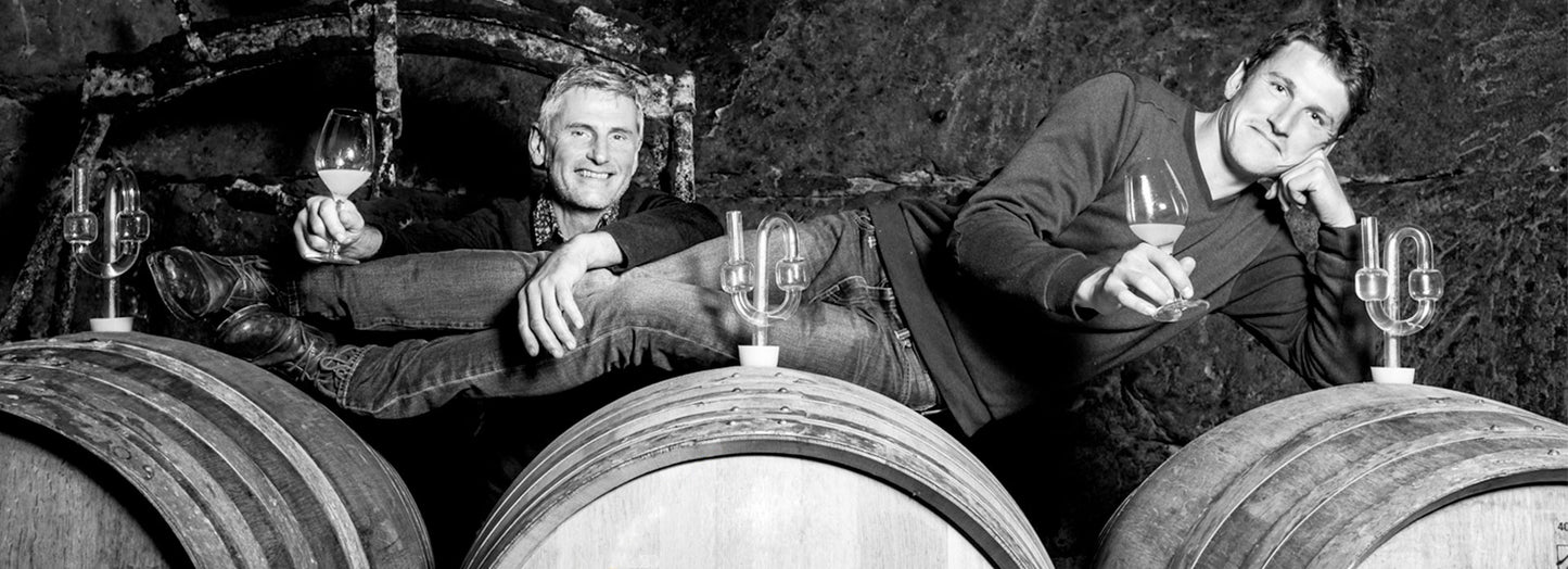 Vinpaket #6: Loire Cabernet Franc