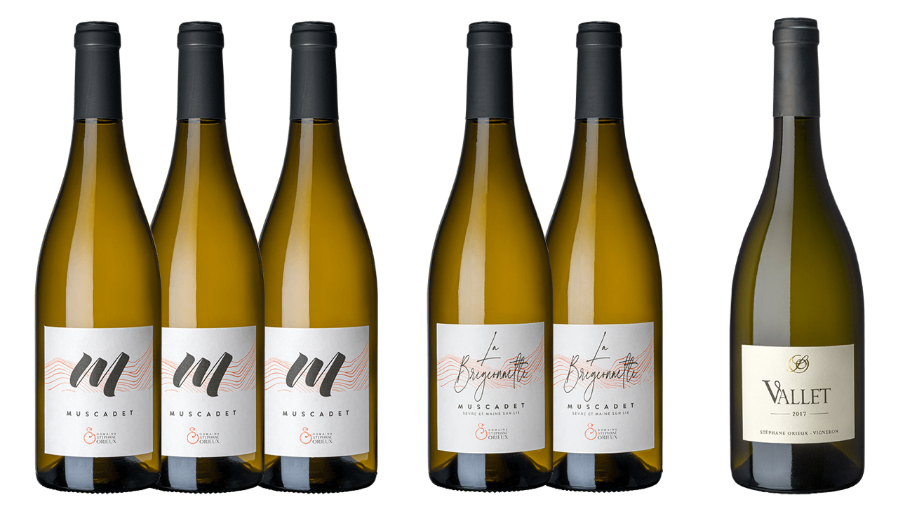 Vinpaket #11: Muscadet